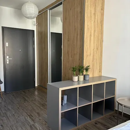 Modern In Old Town Πόζναν